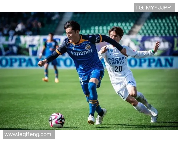 水户蜀葵与熊本深红的对决数据分析与战绩回顾 水户蜀葵与熊本深红的对决数据分析与战绩回顾