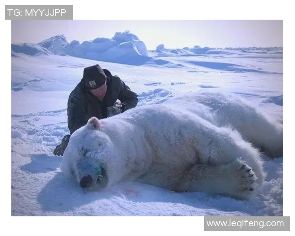 熊悍之力:探寻自然界中最强壮动物的生存智慧与生态适应能力 熊悍之力:探寻自然界中最强壮动物的生存智慧与生态适应能力