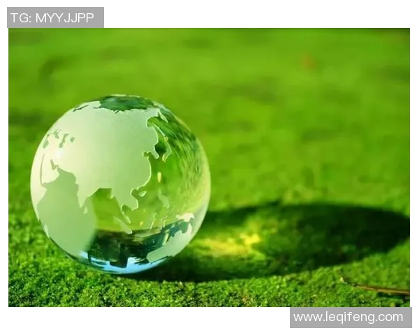 顾全大局与个人利益的平衡探讨：在复杂环境中如何做出明智选择