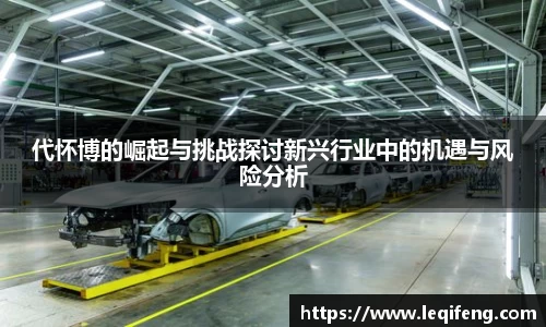 代怀博的崛起与挑战探讨新兴行业中的机遇与风险分析